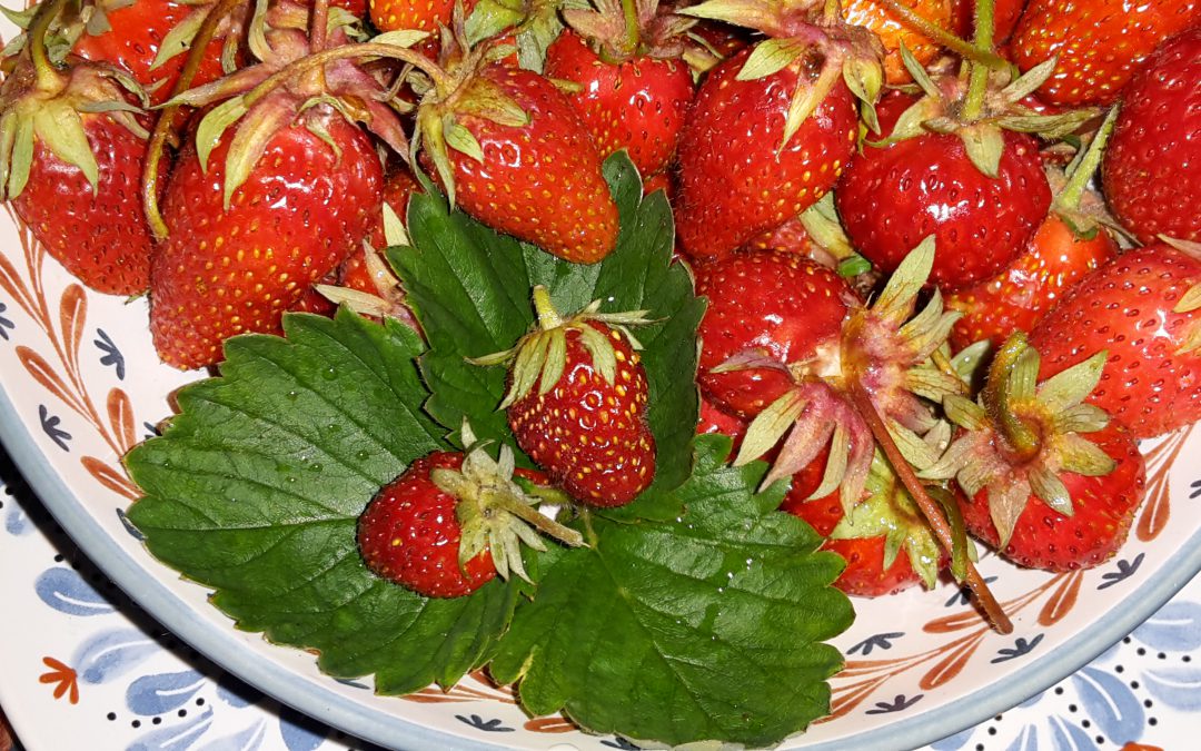 Le Temps Des Fraises …